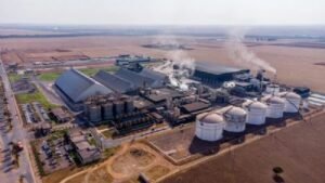 Mato Grosso se Destaca como Segundo Maior Produtor de Etanol do Brasil