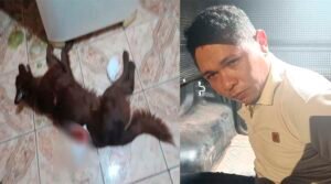 Homem é preso em Santarém por matar cachorro a facadas e ameaçar a família