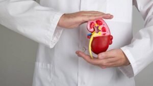 número de doença crônica renal sobe 57,6% em uma década