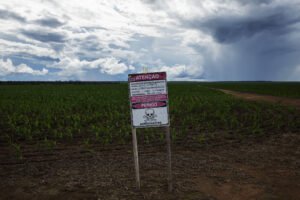 Decreto quer reduzir uso de agrotóxicos no Brasil – 30/06/2025 – Ambiente
