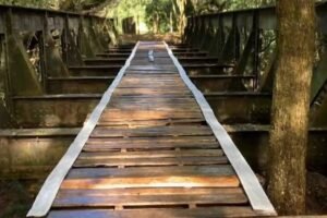 Ponte desaparece em Prados (MG) e é achada a 180 km – 11/06/2026 – Cotidiano