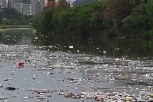 Vídeo mostra lixo flutuando no rio Pinheiros (SP) – 20/08/2026 – Cotidiano